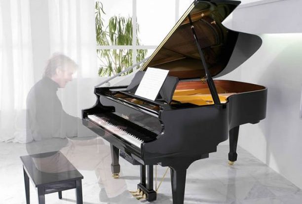 Self Playing Piano System