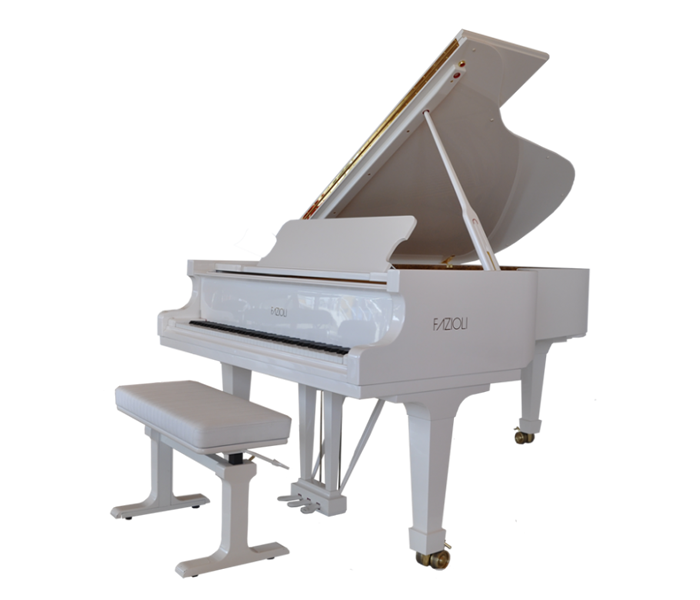 FAZIOLI – F212